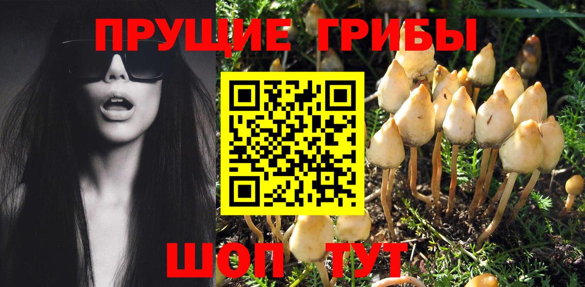 Псилоцибиновые грибы прущие грибы  Псилоцибиновые грибы Magic Shrooms  Донецк  Вход с VPN 